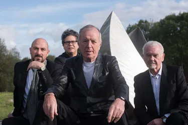 The Animals + Friends