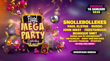 Flugel Mega Party 2026